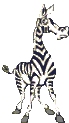 Zebra-dancing